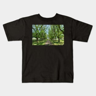 The Long Driveway in Spring Kids T-Shirt